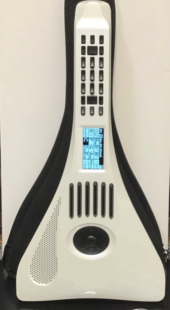 インスタコード+ IC31 ホワイト & 専用ケース