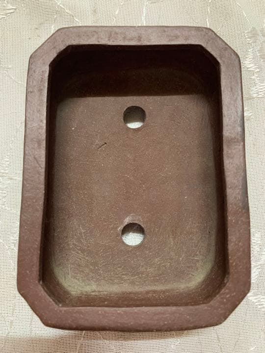 在位五拾周年記念鉢　長方　盆栽鉢