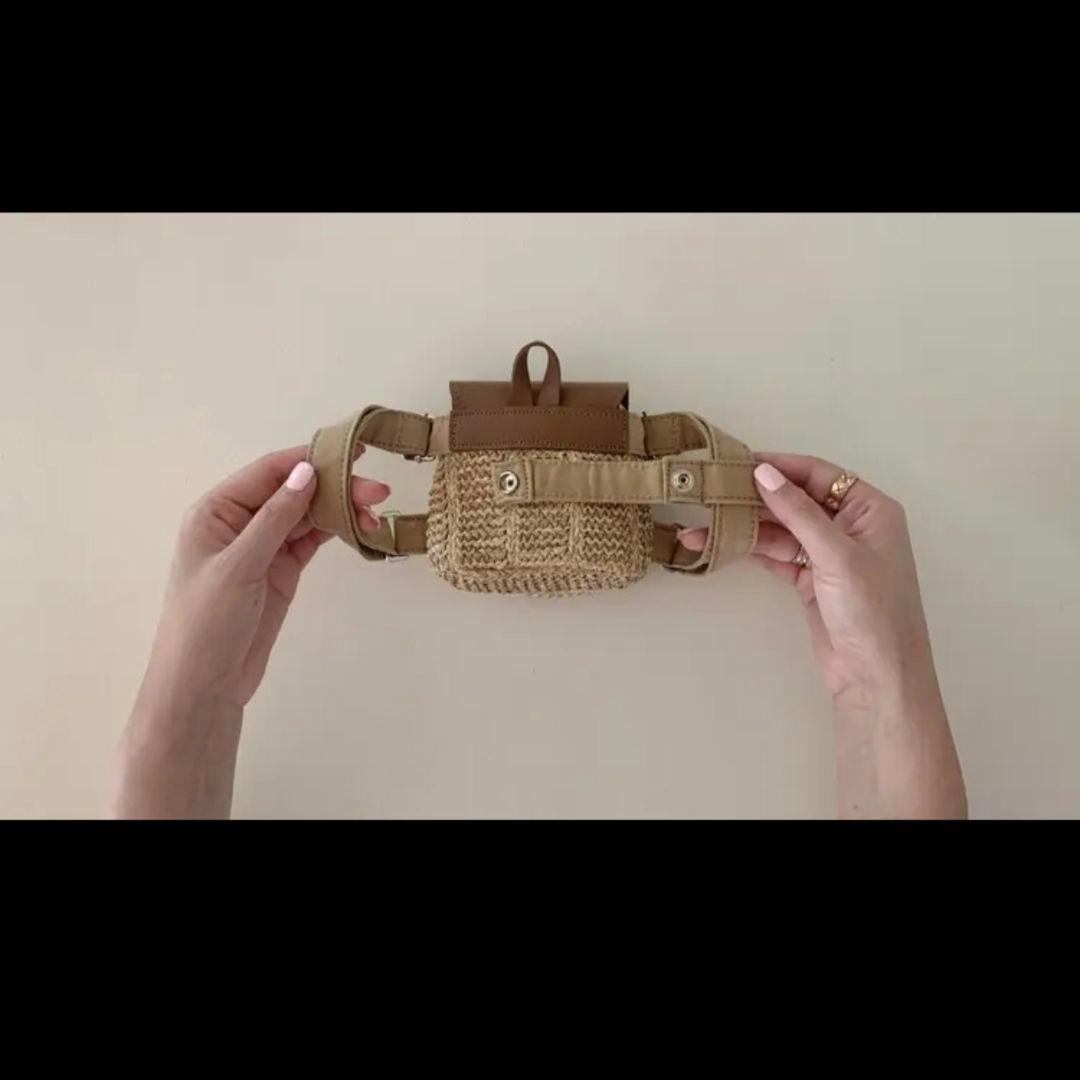 韓国犬服【papier】Raffia Work Back & Backpack