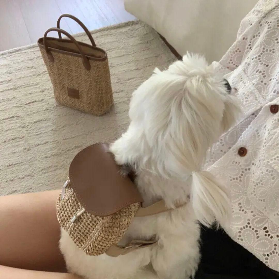 韓国犬服【papier】Raffia Work Back & Backpack