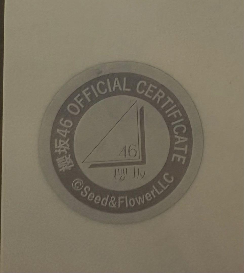 櫻坂46 山川宇衣 直筆サイン 生写真　2025浴衣