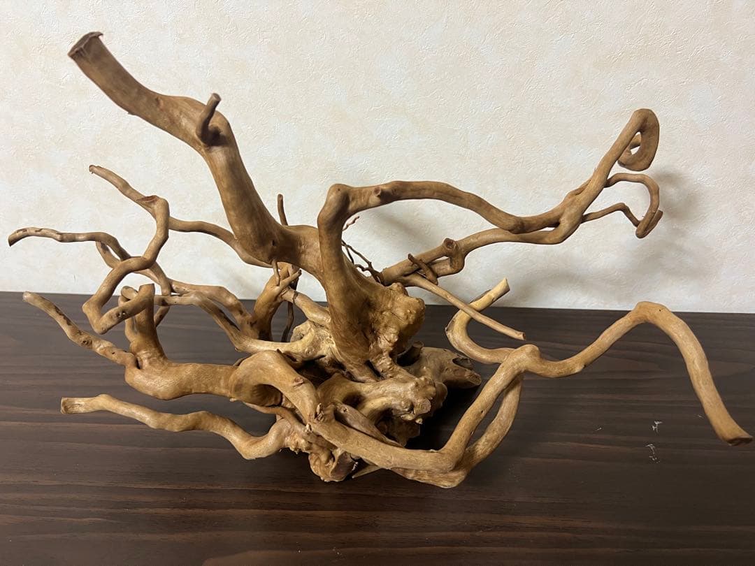 70215 ブランチウッド　流木　アクアリウム　沈水確認済