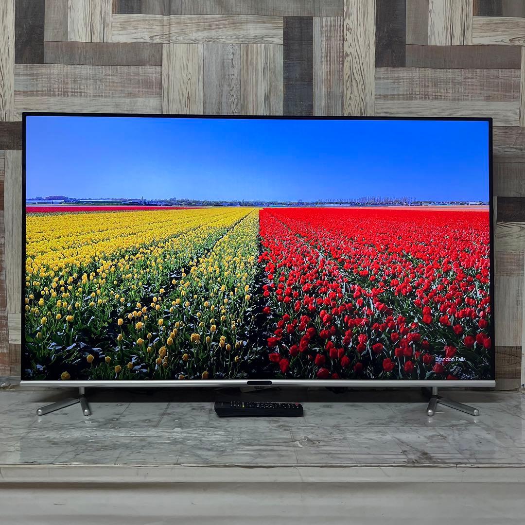 即日受渡❣️全国送料込グリーンハウス50型液晶テレビ日本メーカー製最新LSI搭載