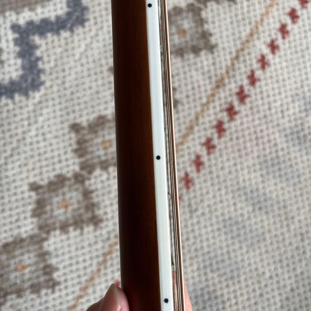 ARIA アリア エレアコ AMB-35 BLS アコースティックギター