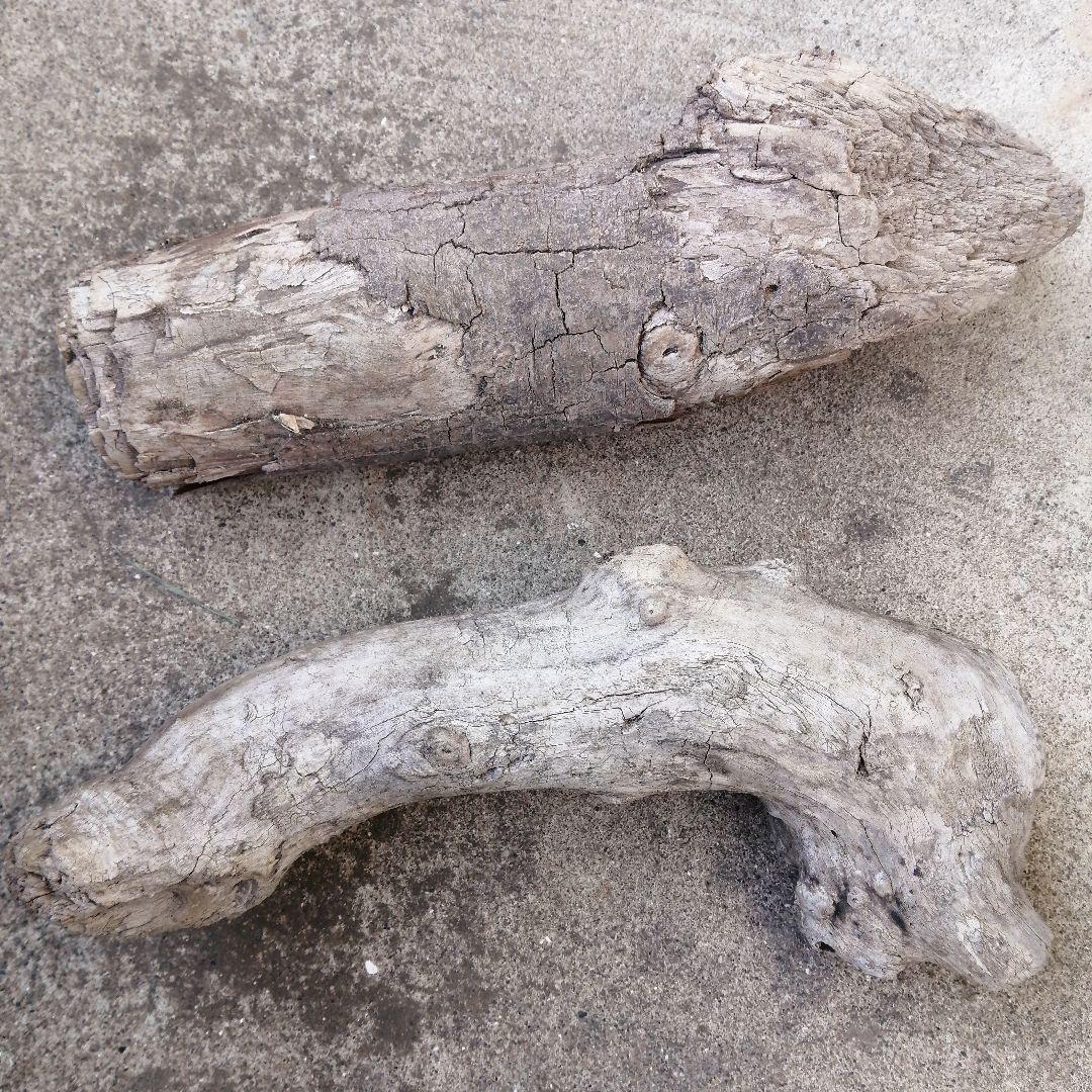 流木風【きこり】2点セット。大きい 自然な風合い