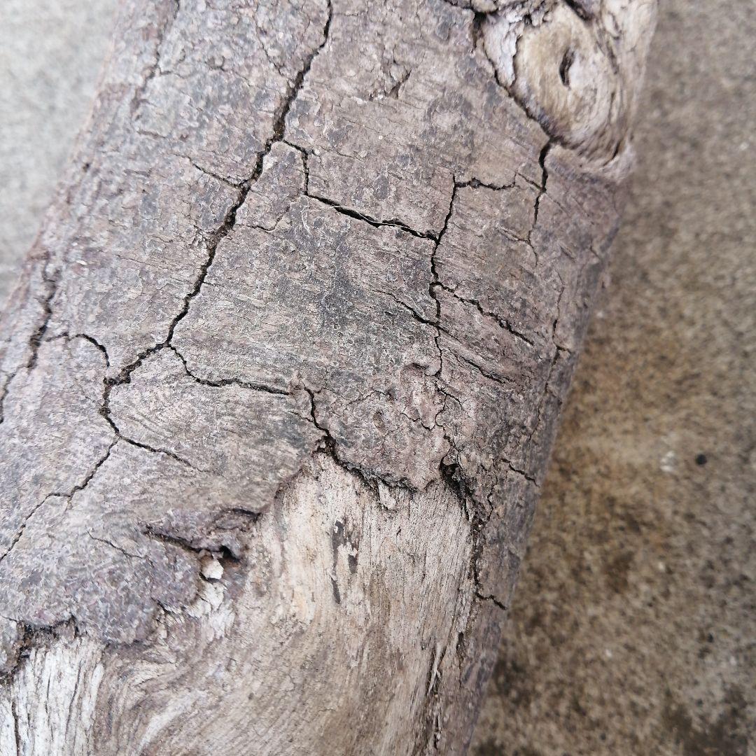 流木風【きこり】2点セット。大きい 自然な風合い