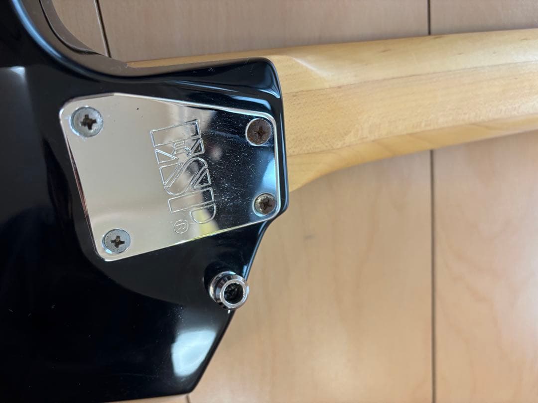 Edwards製 syuモデル crying star E-CS-160