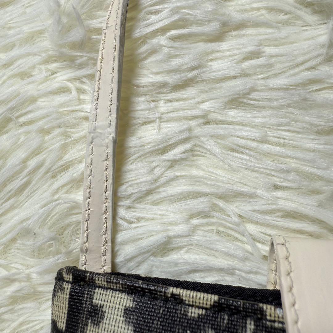 Christian Dior ショルダーポシェット TROTTER