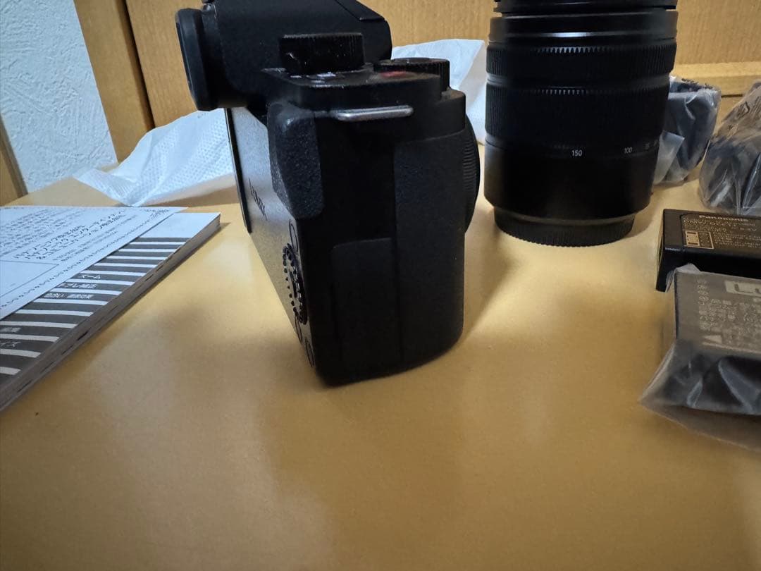 LUMIX DC-G100DW ダブルズームレンズキット