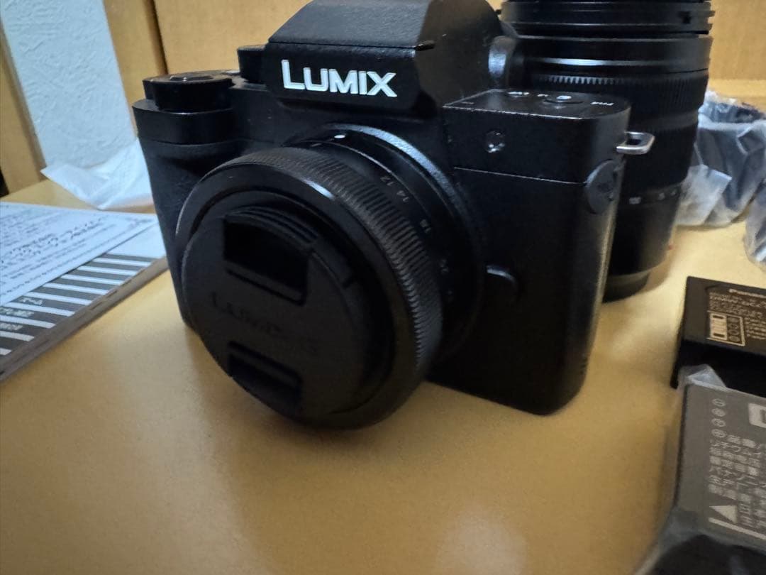 LUMIX DC-G100DW ダブルズームレンズキット