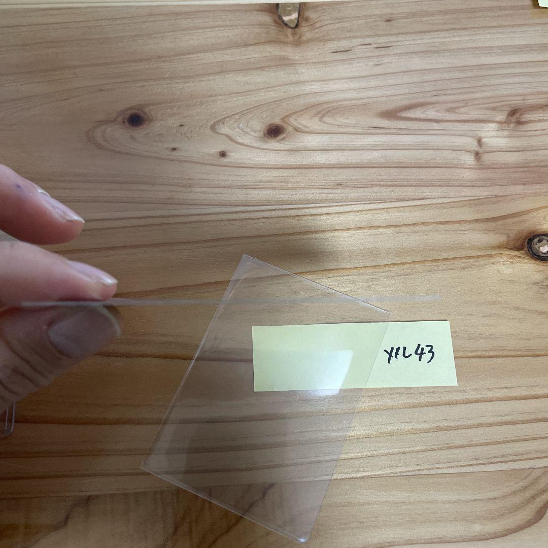 ニンフィアGX CHAMPIONSHIP SERIES 2019 プロモ