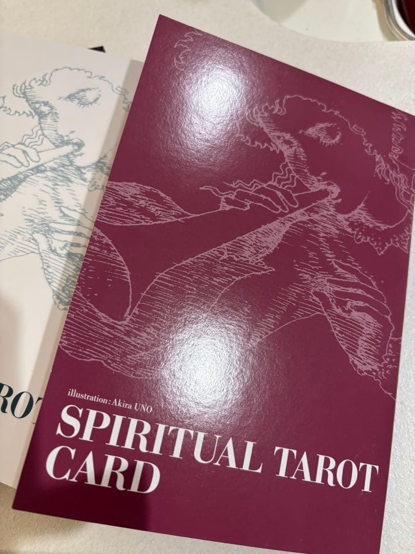 宇野亜喜良　スピリチュアルタロット