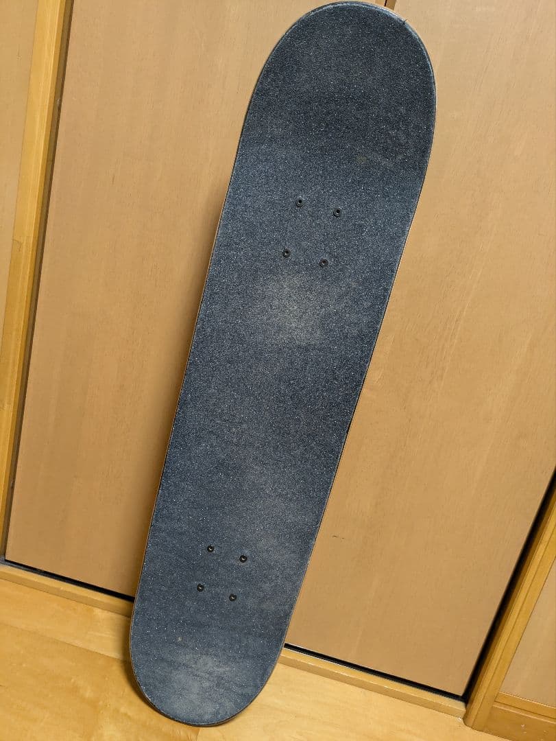 SANTA CRUZ サンタクルーズ スケートボード コンプリート