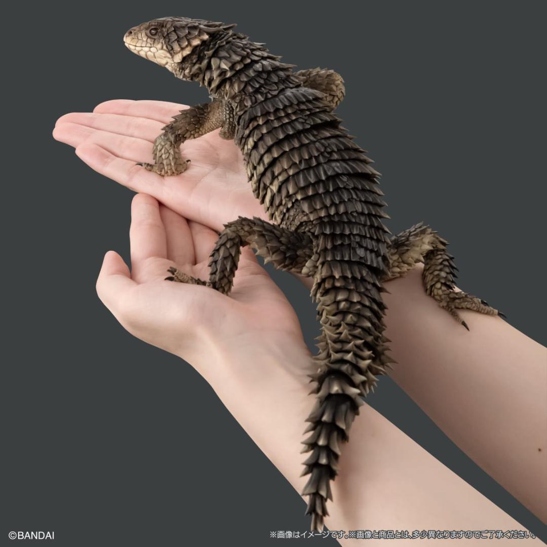 いきもの大図鑑アルティメット　オオヨロイトカゲ　輸送箱未開封 伝票貼跡なし