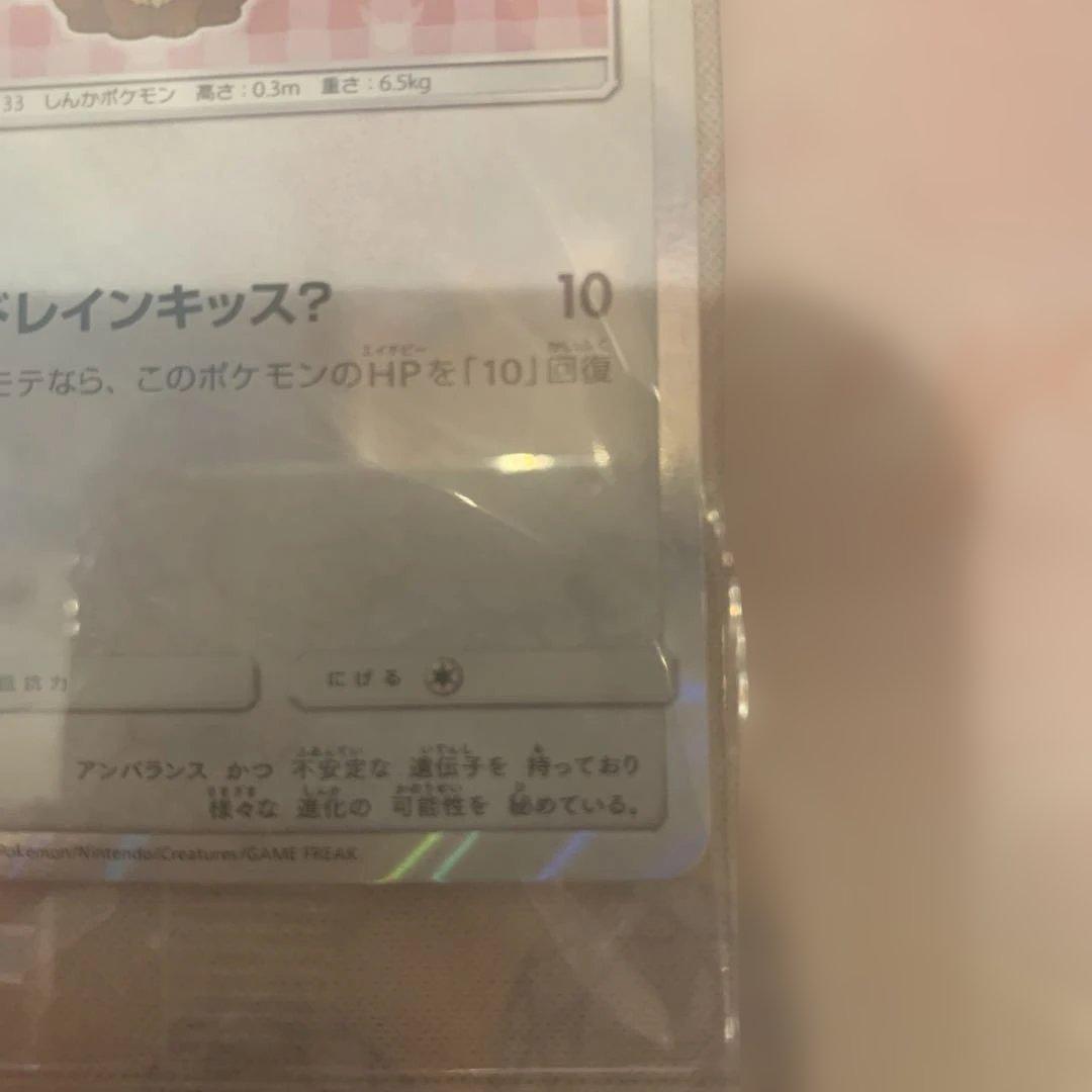 保留中 プロモ ポンチョを着たイーブイ ニンフィア 未開封品