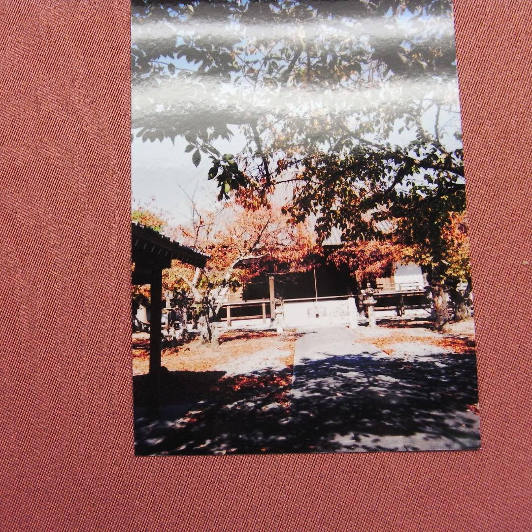 名機　MINOLTA　TC-1　　元箱付