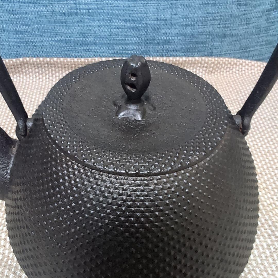 釜定　鉄瓶　秋の実/あられ　南部鉄器