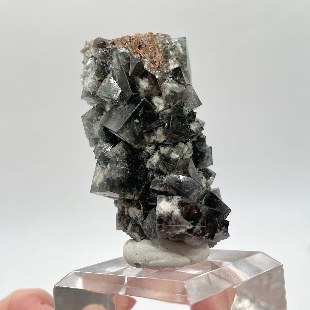 Diana Maria mine Smoky Rabbit Pocket 蛍石