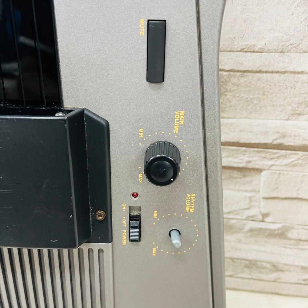 CASIO カシオ DIGITAL GUITAR デジタルギター DG-7