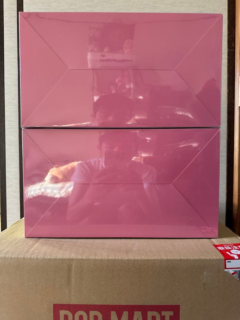 THE MONSTERS EXCITING MACARON ぬいぐるみ 2BOX