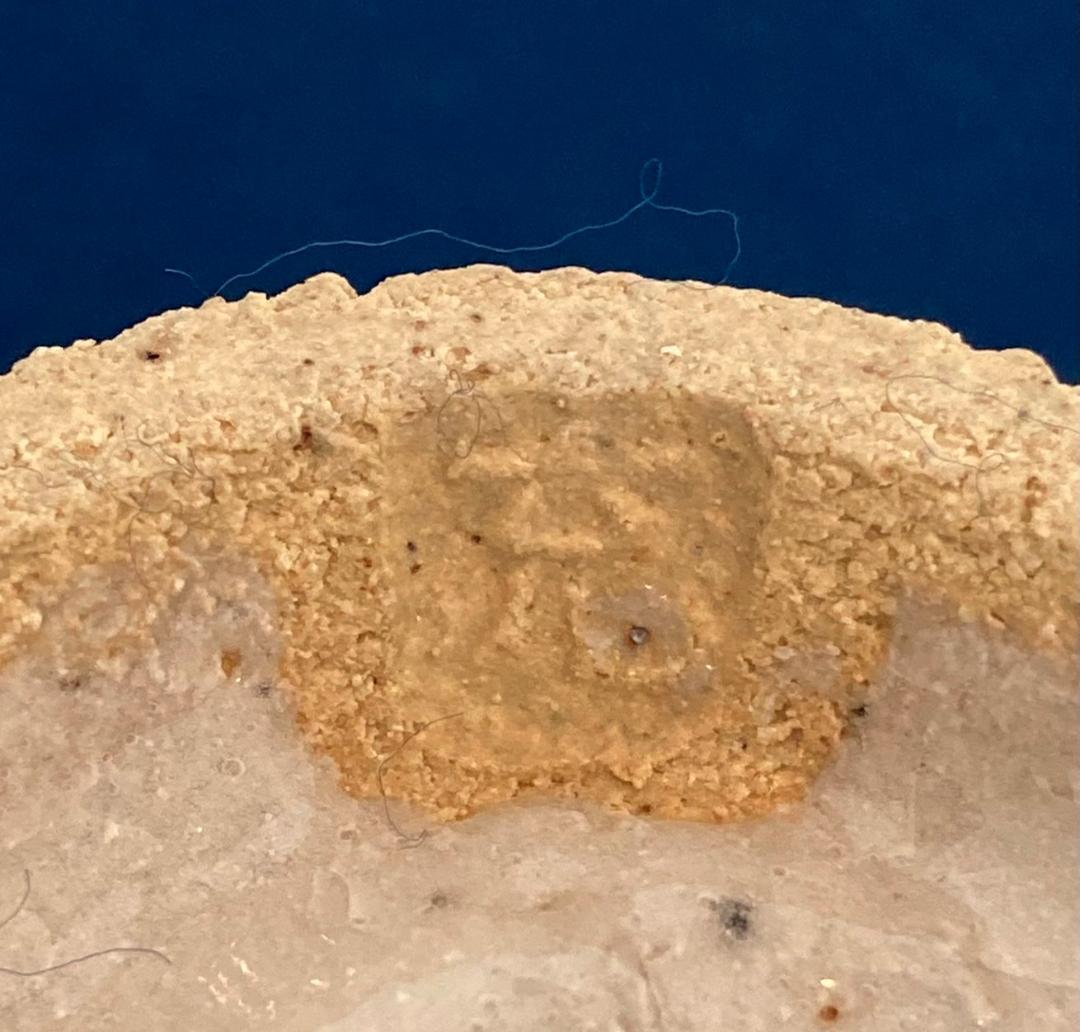 木村充／木村一郎の息子「湯呑」益子焼 共箱：茶道具