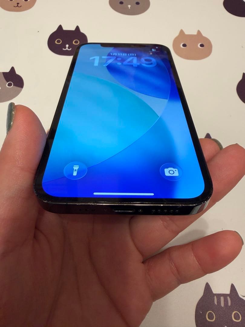 【香港版】iPhone 12 Pro 256GB パシフィックブルー