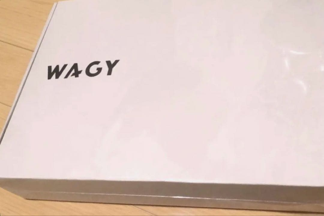 WAGY SHOULDER LEAD BAG お散歩バッグ付きリード 2WAY