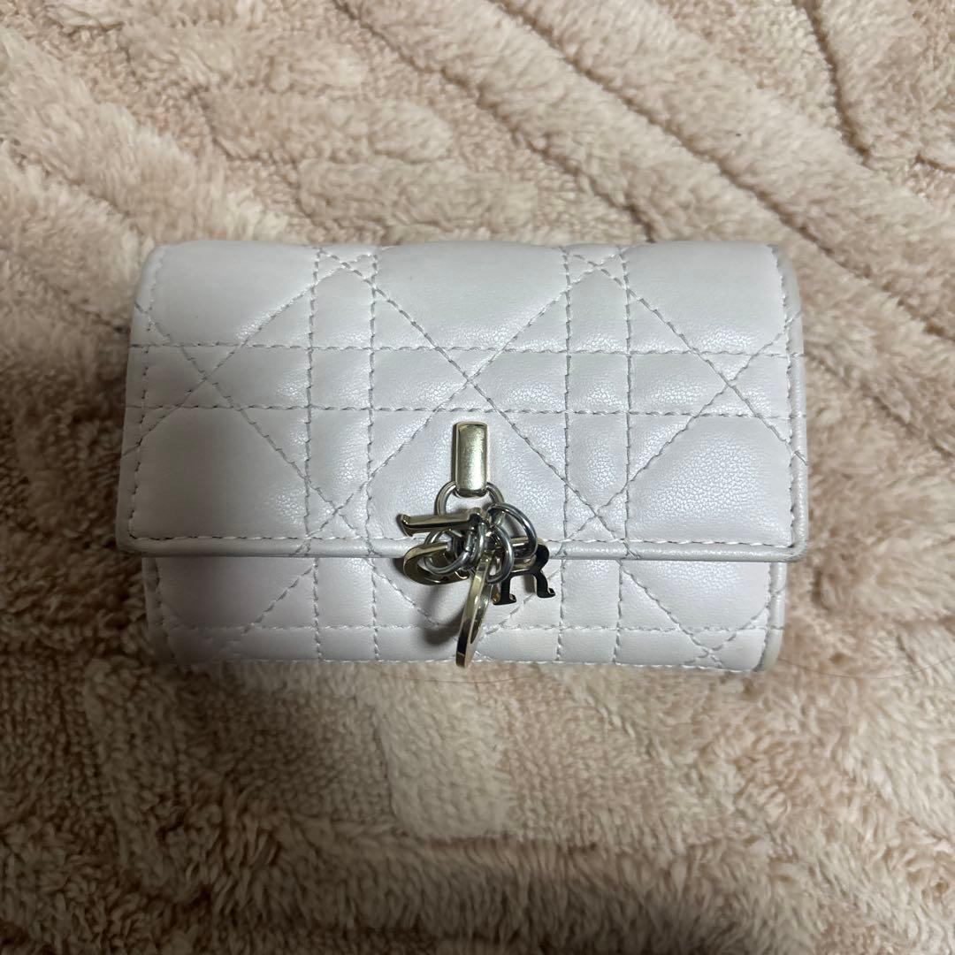 Christian Dior カナージュラムスキン