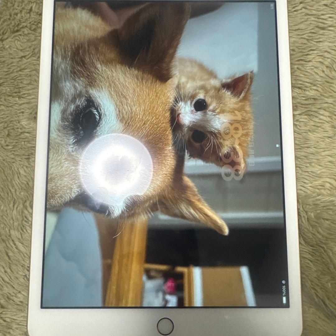 iPad本体 iPadAir 3 256gb