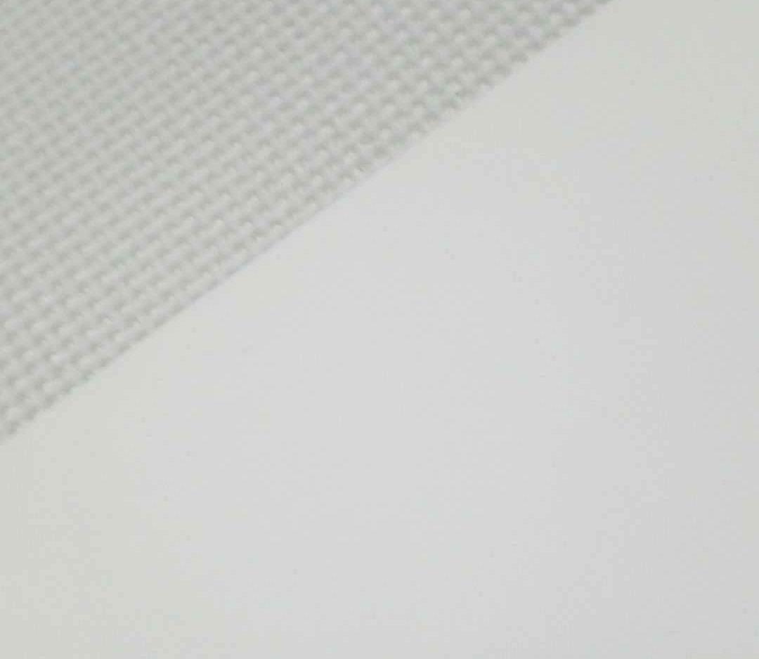 ジョジョ展 B1ポスター東京キービジュアル 承太郎&イギー 特大サイズJOJO