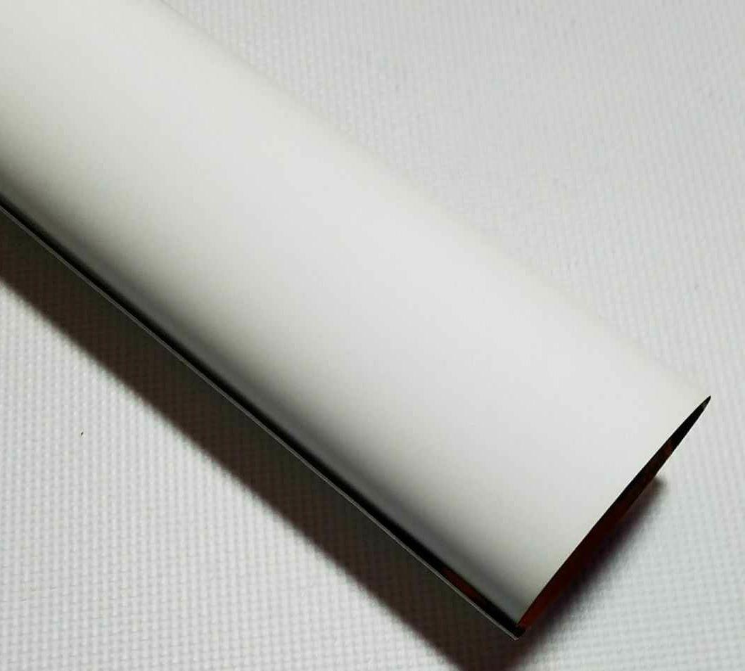 ジョジョ展 B1ポスター東京キービジュアル 承太郎&イギー 特大サイズJOJO