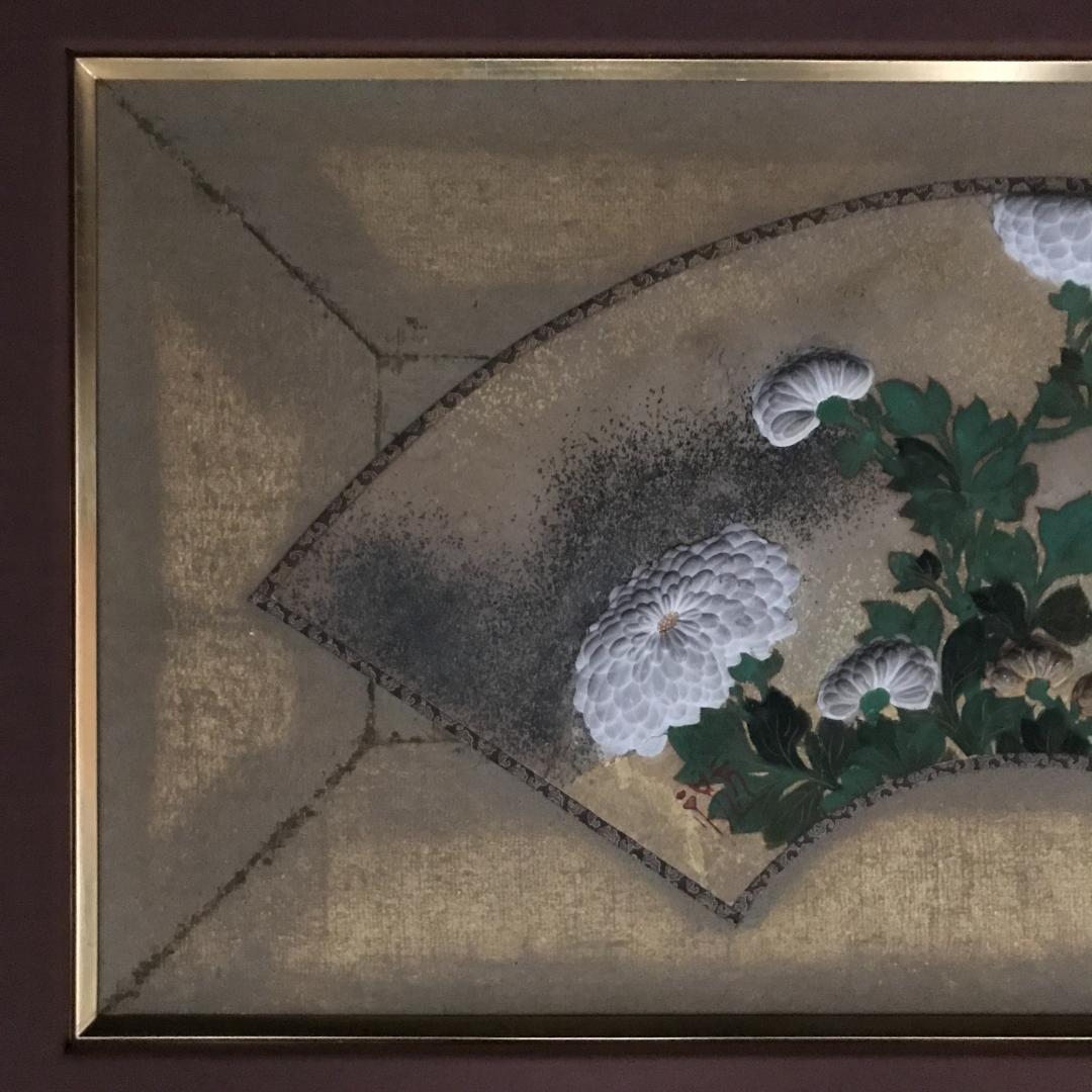 尾形光琳/菊花之図/扇面菊図/日本画/額/掛軸/掛軸/名家伝来/Y-838