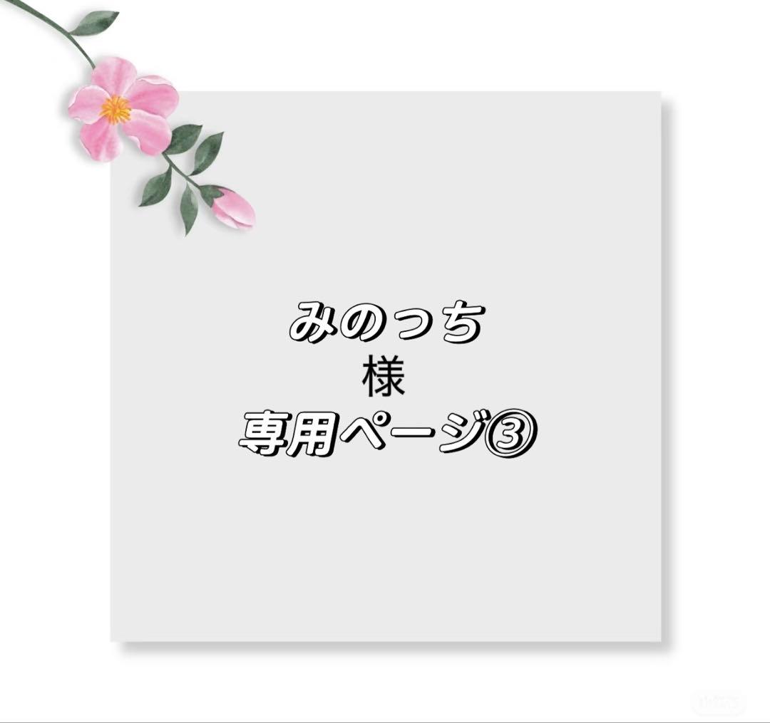 みのっちページ③