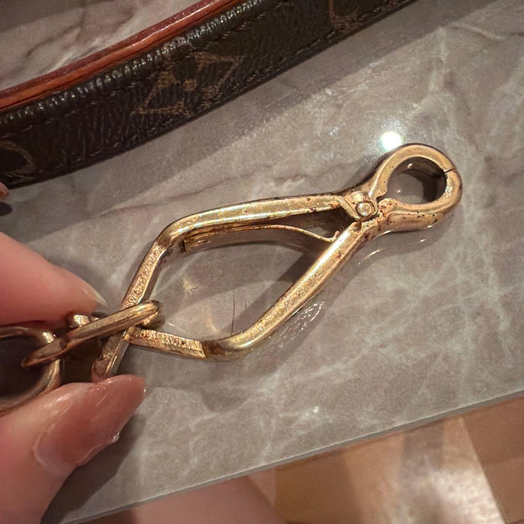 Louis Vuitton ブラウンレザーリード