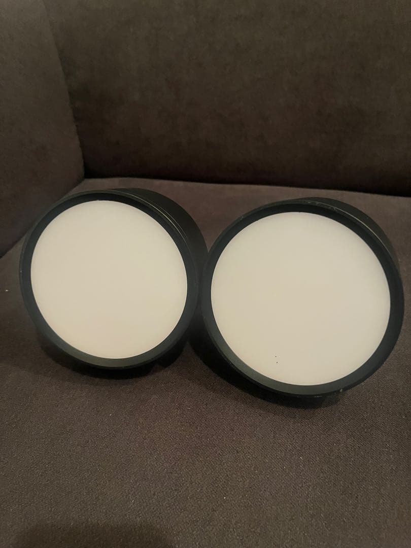 Y*a様 ✨未使用<エジソンスマート>シーリング　ブラック。 調整可能