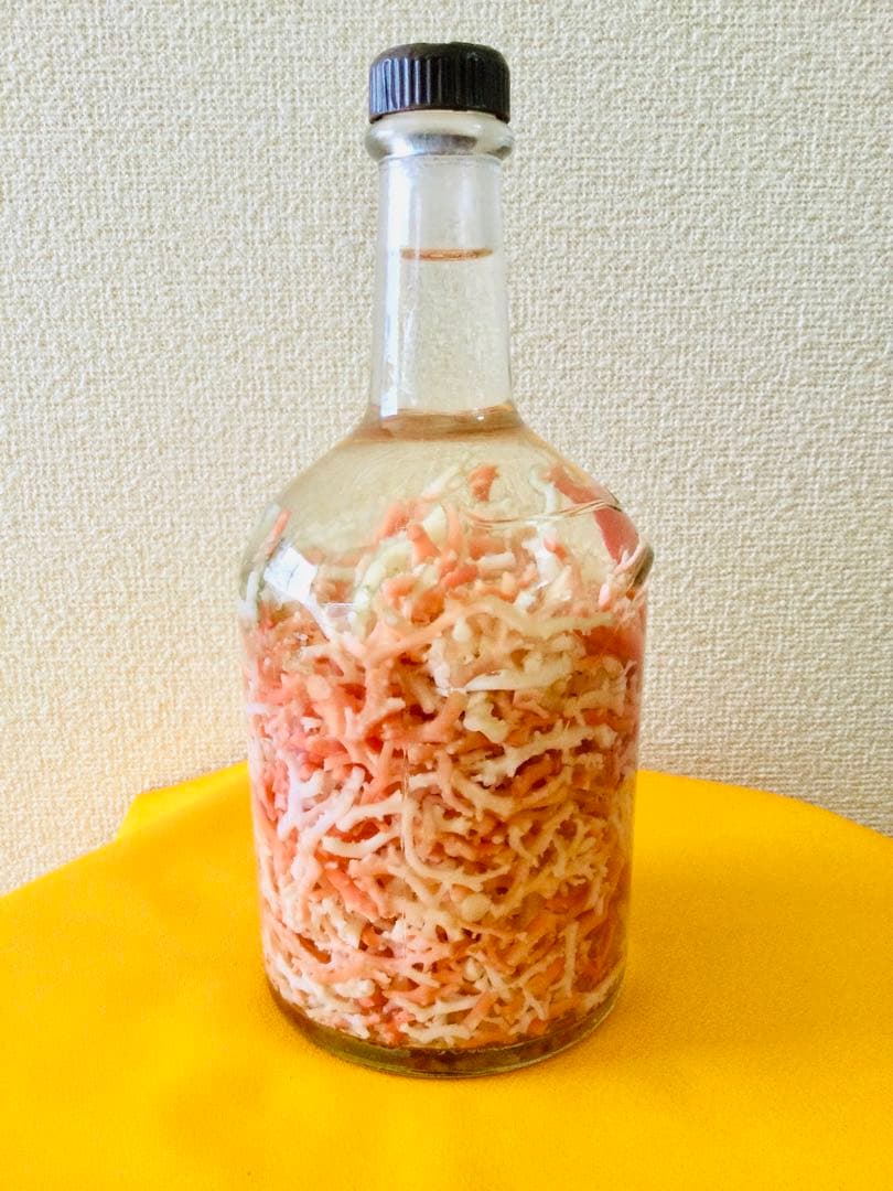 本珊瑚 桃色珊瑚　瓶詰め 原木 枝 置物　インテリア　ピンクサンゴ　コーラル