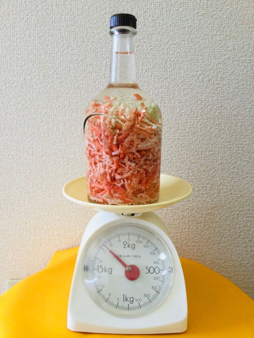 本珊瑚 桃色珊瑚　瓶詰め 原木 枝 置物　インテリア　ピンクサンゴ　コーラル