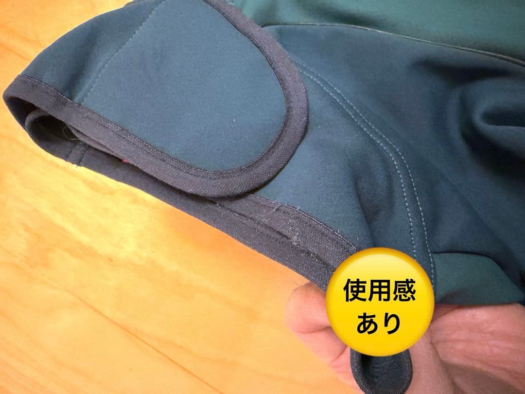 ALPHAICON W.FULL DOG GUARD ダブルフルドッグガード