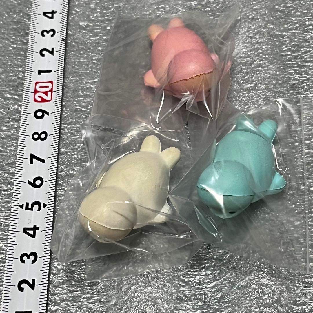 スクイーズ　ブルーム　アザラシ　3種セット　BLOOM