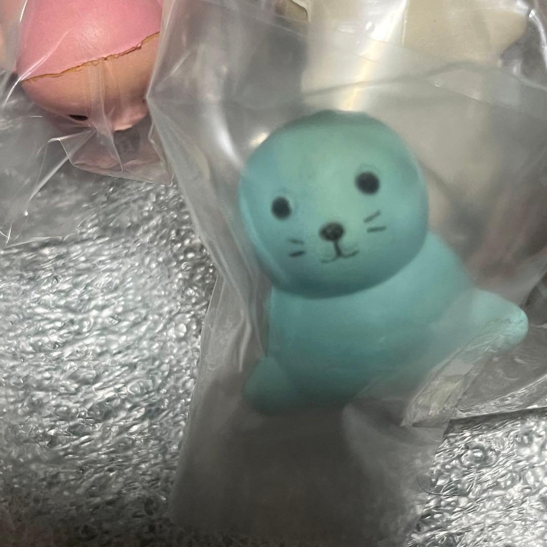 スクイーズ　ブルーム　アザラシ　3種セット　BLOOM