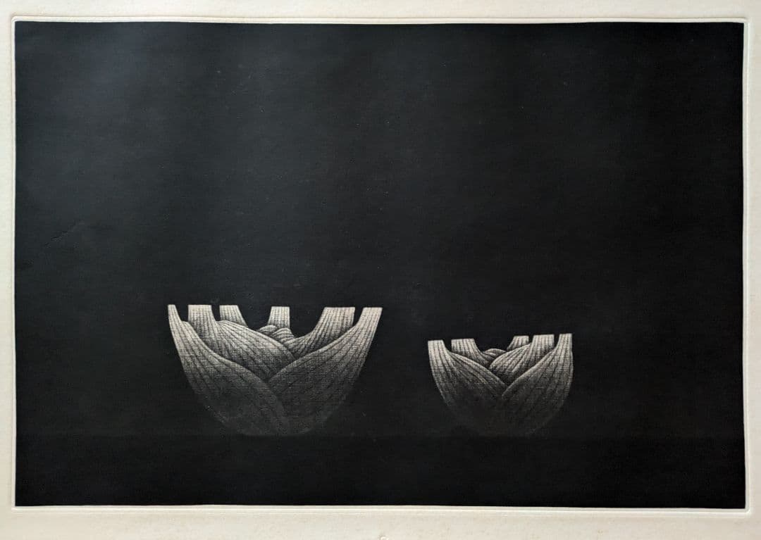 格安h浜口陽三の腐蝕銅版画　“黒”が織りなす静謐な銅版画「フェンネル」美品