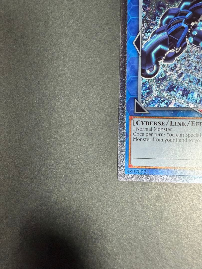 リンクスパイダー レリーフ　EU 英語