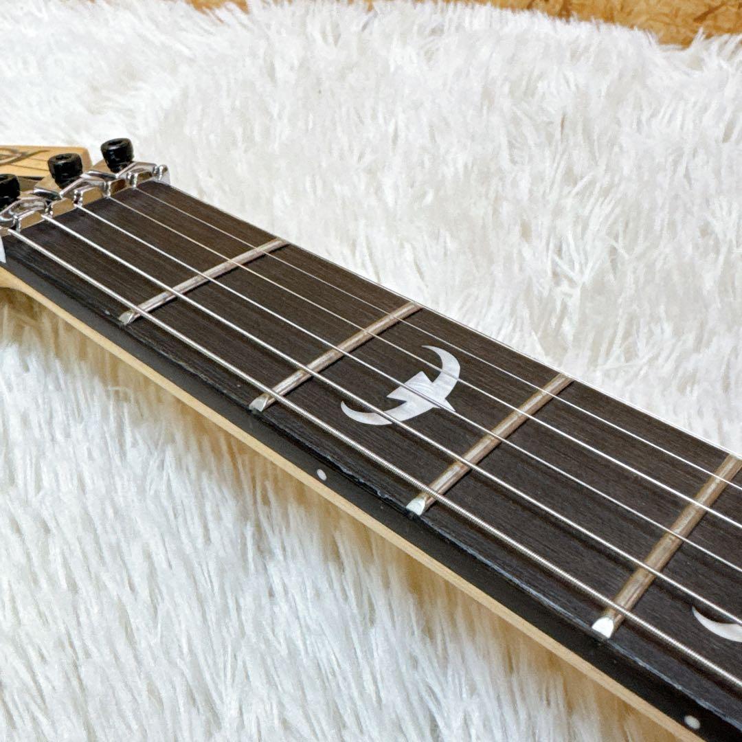 美品！Bullfighter D300 スルーネック仕様 フロイドローズ