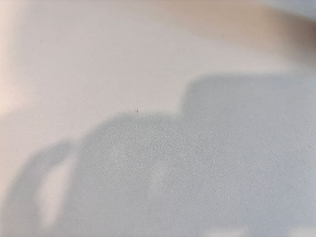 VERNAL PD3 幅160 奥行き70 電動昇降デスク ホワイト