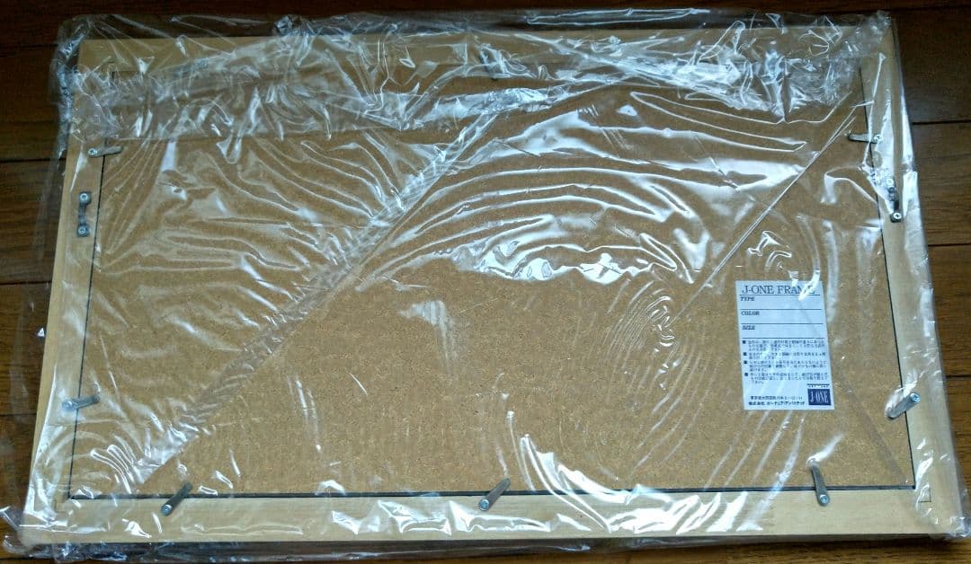 未使用☆東京ディズニーランド☆記念パスポート☆額入り