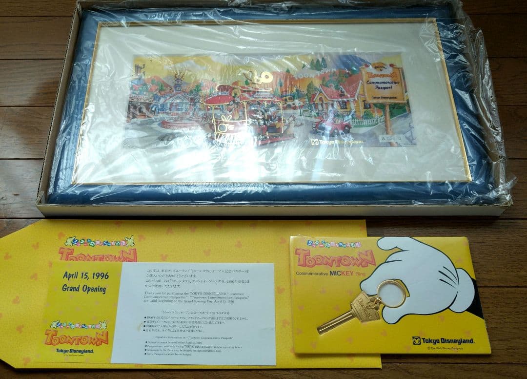 未使用☆東京ディズニーランド☆記念パスポート☆額入り