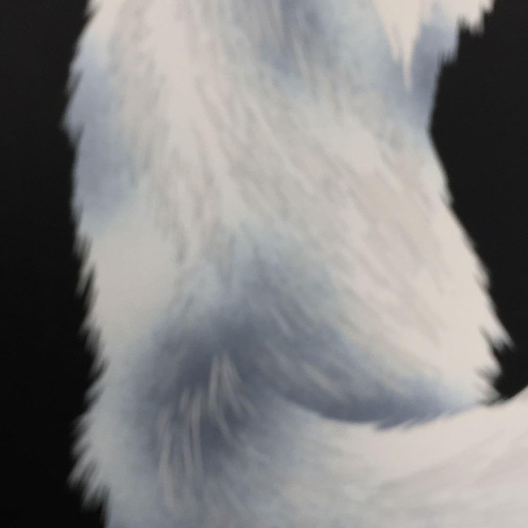 0624F 宮田雅之 白猫 W49.5*H55CM