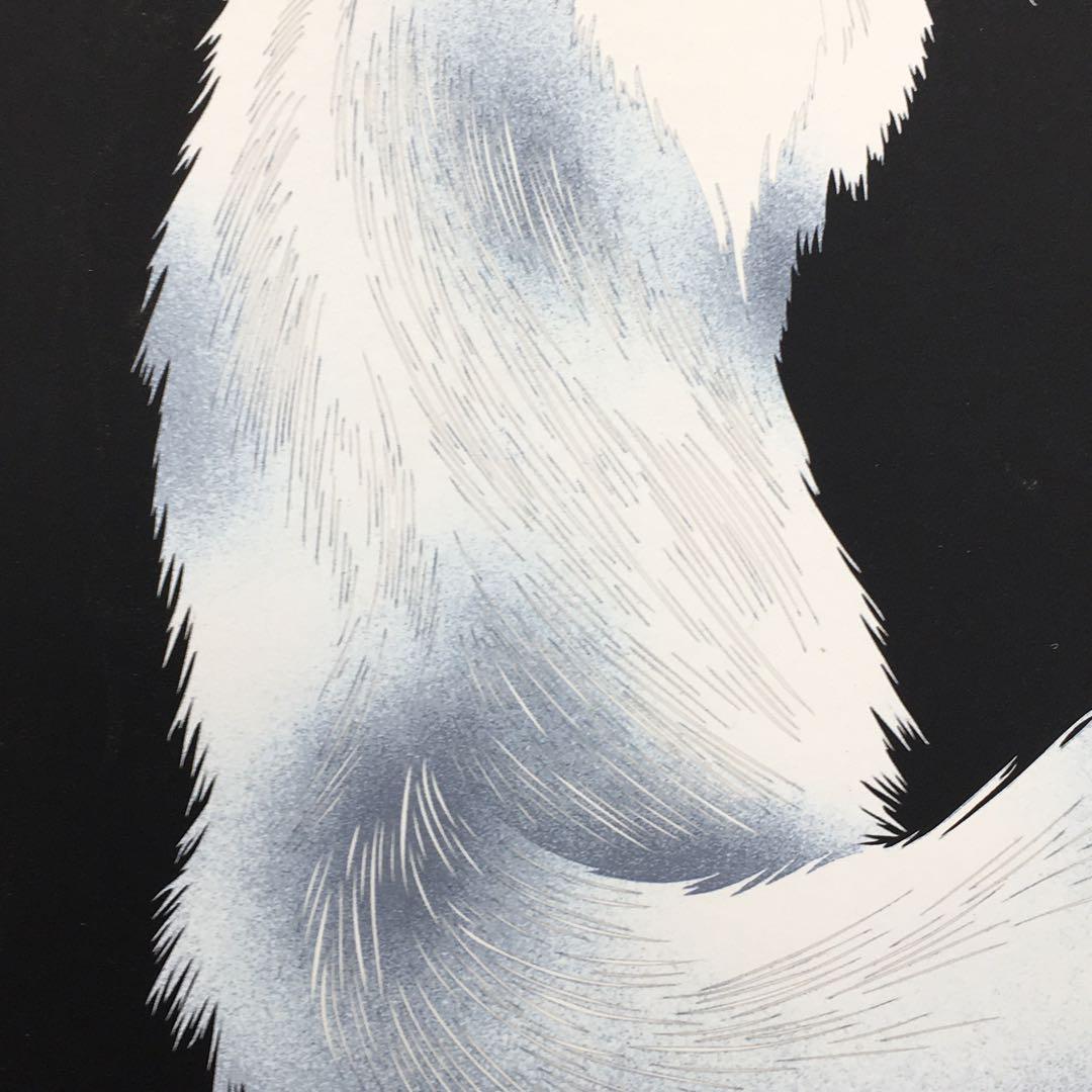 0624F 宮田雅之 白猫 W49.5*H55CM