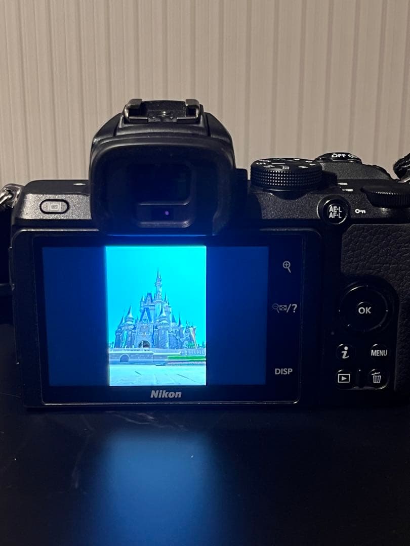 作画有　Nikon Z 50 16-50mm 付属品