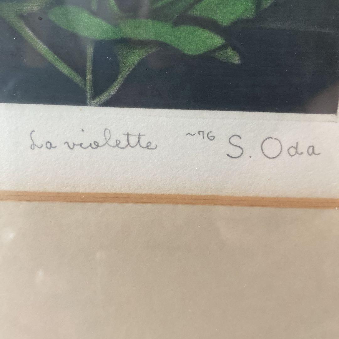 織田 繁　題名　アフリカン　ヴァイオレット　メゾチント　銅版画